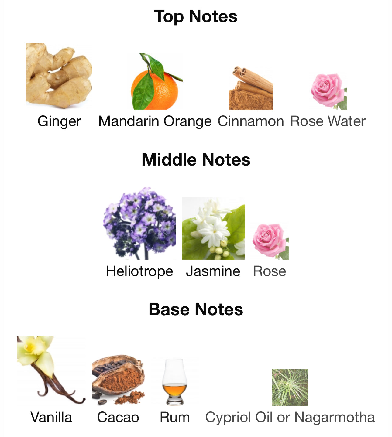 Love Delight by Amouage