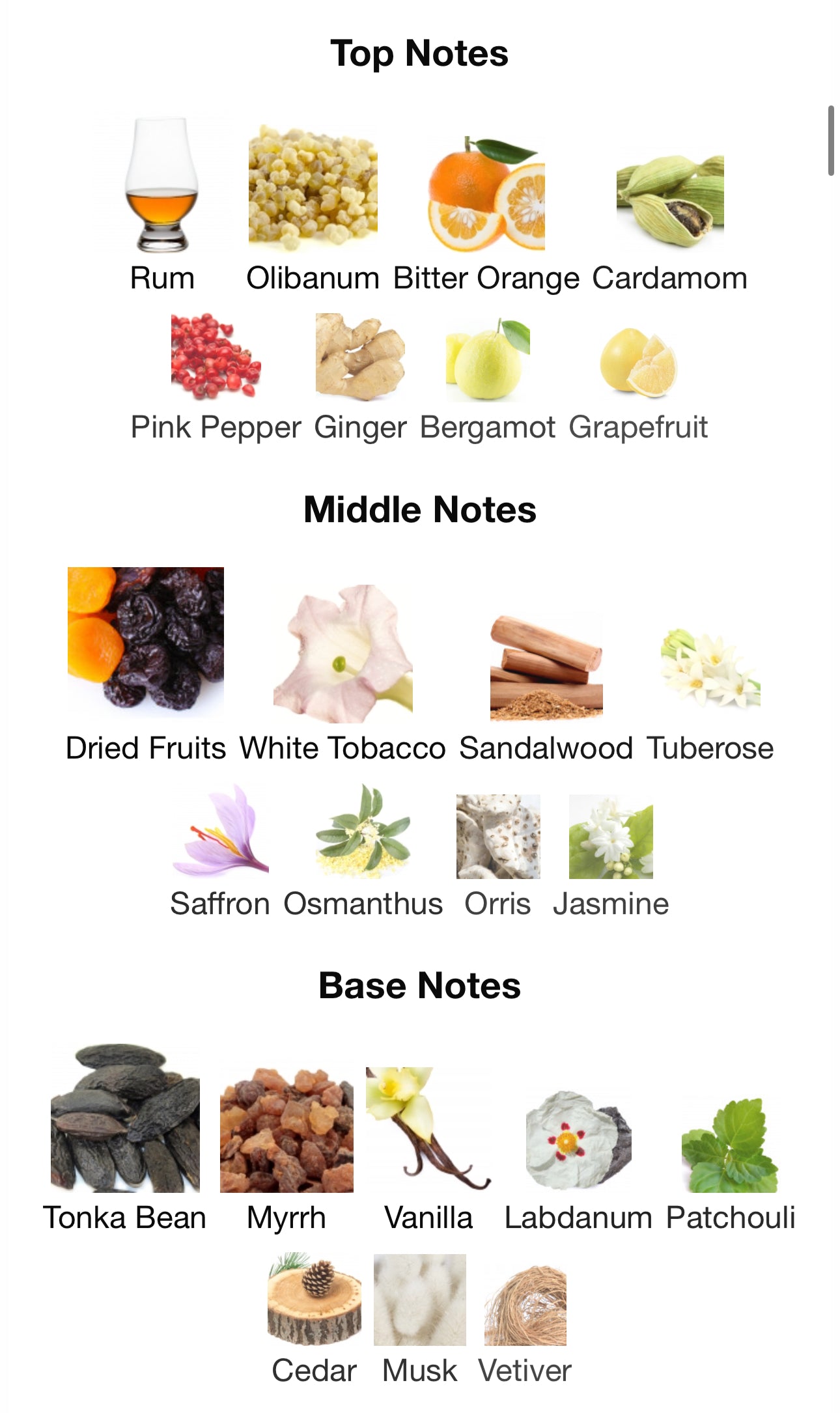 Blonde Amber by Clive Christian