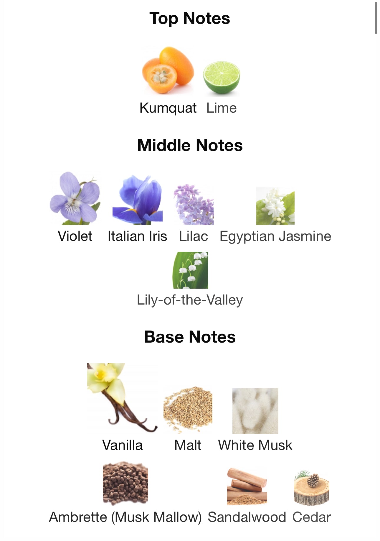 Dama Bianca by Casamorati