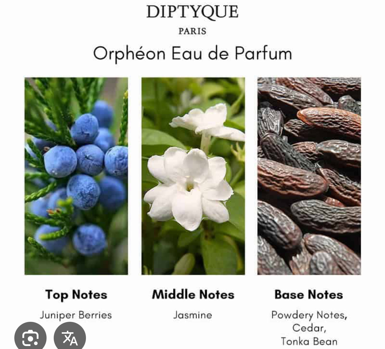 Orpheon by Diptyque