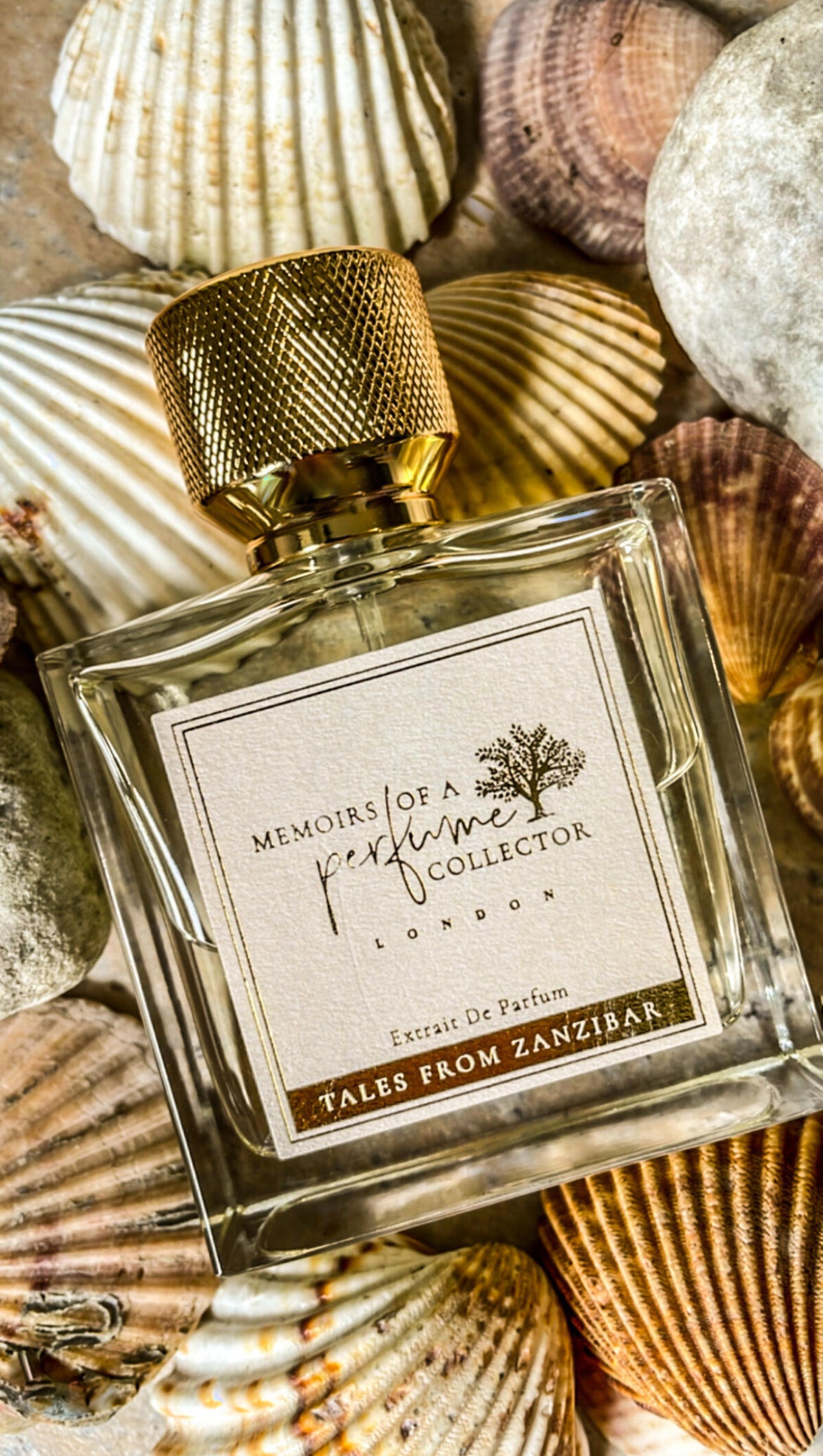 Tales from Zanzibar by Memoirs of a perfume collector