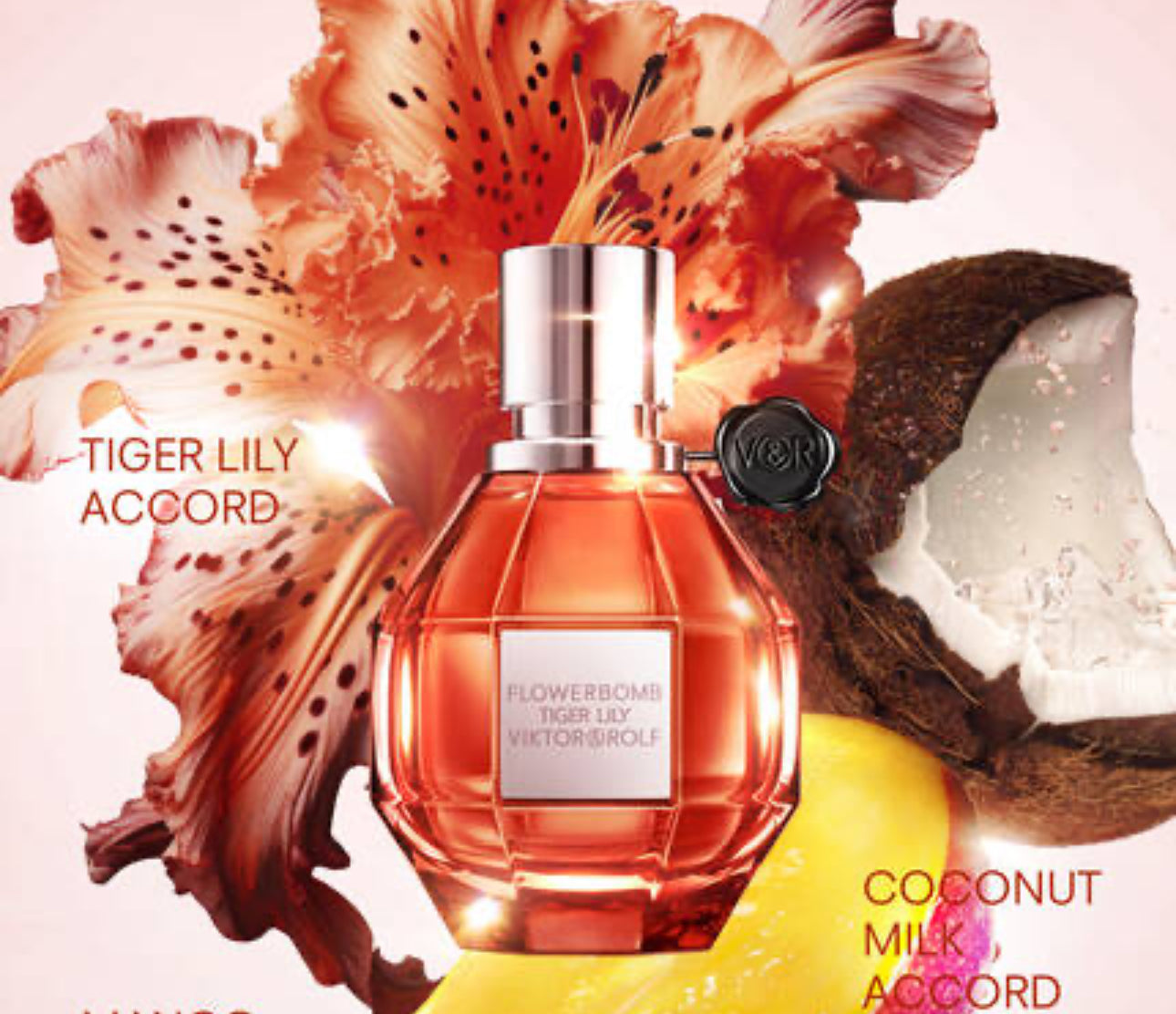 Flower Bomb Tiger Lily by Viktor&Rolf