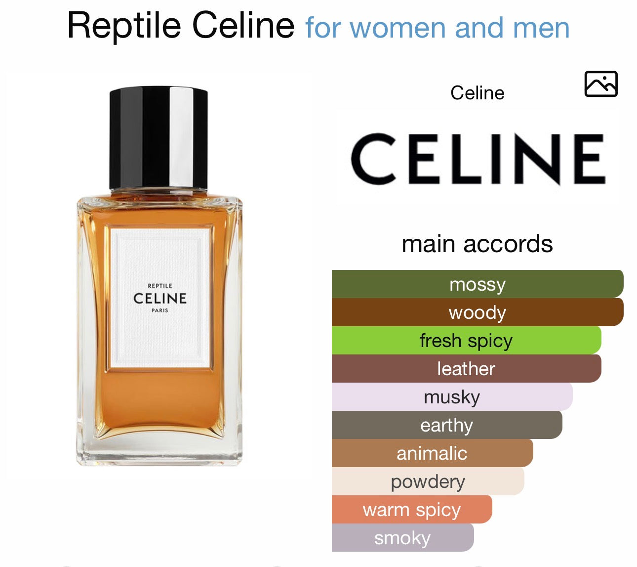 Reptile by Celine