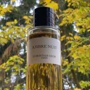 Ambre Nuit by Dior – GigiGlam.Shop