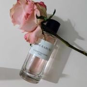 Rose Kabuki by Dior