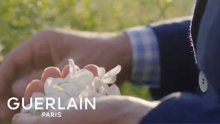 Jasmin Bonheur by Guerlain