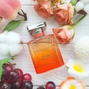 Damask by Ormonde Jayne