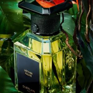 Vétiver Fauve by Guerlain